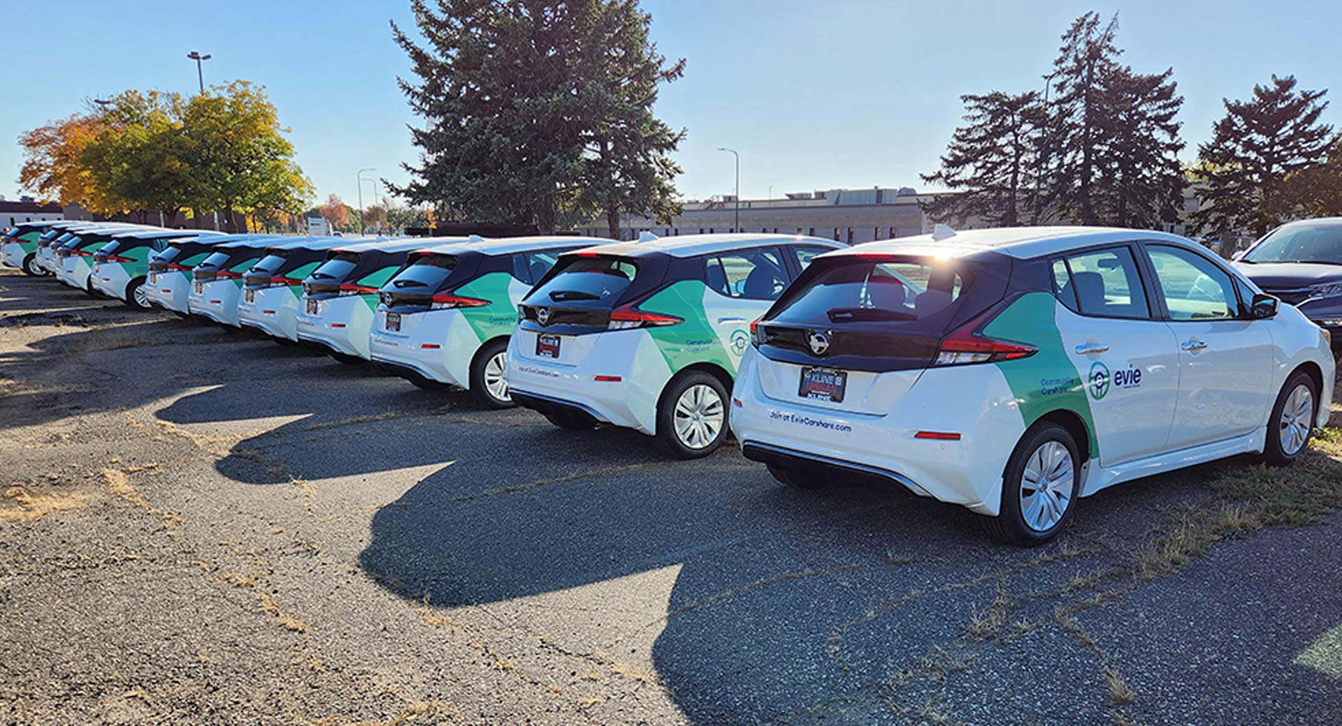 A fleet of cars with custom vinyl wraps