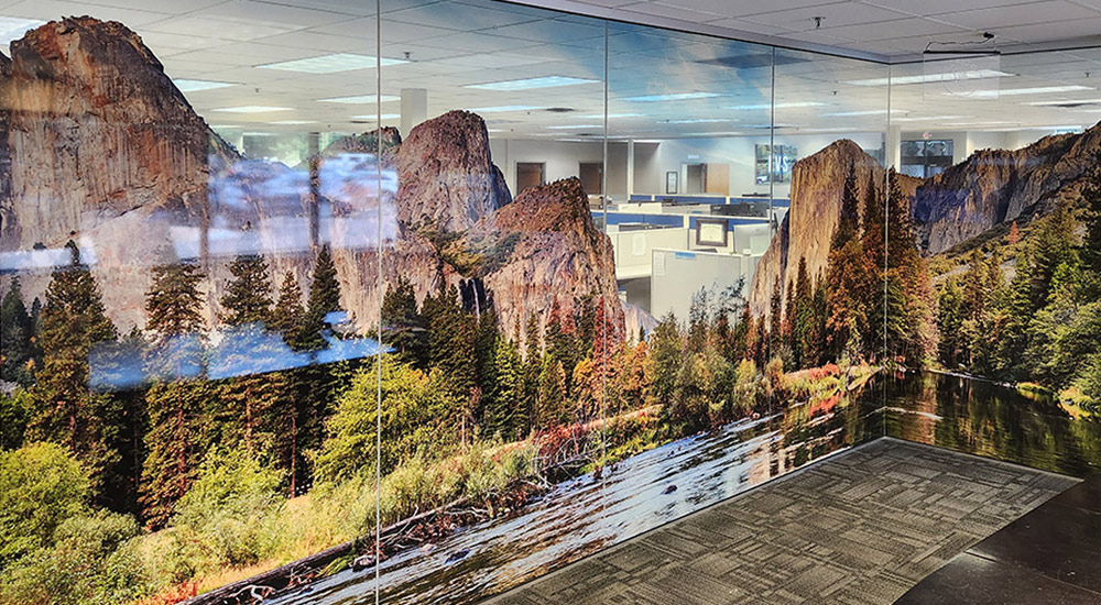 mountains and pine tree images applied to indoor office glass